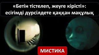 «Бетін тістелеп, жеуге кірісті»: есігімді дүрсілдете қаққан мақұлық