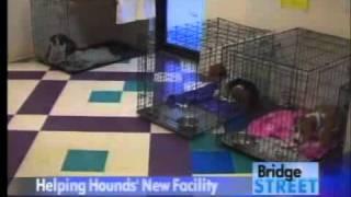 Helping Hounds Dog Rescue Tour