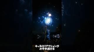 子供のリアクションが良すぎる花火 #shorts #japan #fireworks #culture #festival #travel