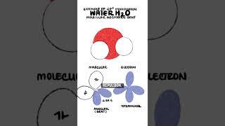 sp3 Orbital Hybridization of Oxygen in Water - Organic Chemistry #stem #stemeducation #chemistry