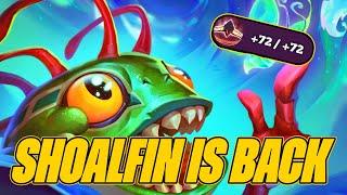 Shoalfin Builds Are Extremely Back Since the Buff | Dogdog Hearthstone Battlegrounds