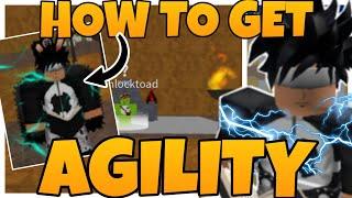 HOW TO GET *AGILITY* "MINK V3" IN BLOX FRUIT (ROBLOX)