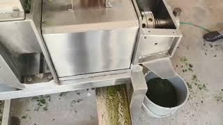 Screw Press Juicer Machine/1.5 hp