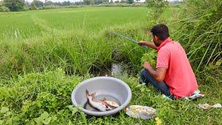 Canal Fishing Video || Village Boys like to catch fish using hook || Traditional hook fishing