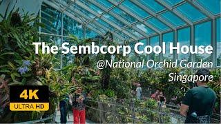 The Sembcorp Cool House - 4K UHD 60FPS Walking Tour @NParksSG #NationalOrchidGarden