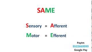 Afferent Vs Efferent Nerve - Mnemonic