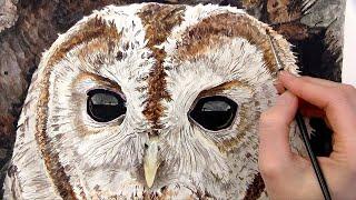 How to paint watercolor a realistic owl eye [step by step class]