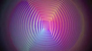 ORGANIC NOISE - Polaris