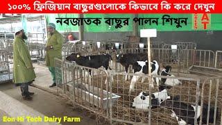 Eon Hi Tech Dairy Farm | বাছুর জন্মের পর কি কি যত্ন করে, আপনি যা করবেন | Bayezid Moral