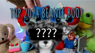 I Made a List of Top 2024 Beanie Boos...