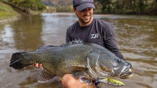 Insane Session MURRAY COD Fishing - 2 River GIANTS