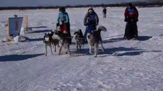 Макс Медиа ДВ Амурская метель тройной финиш потасовка