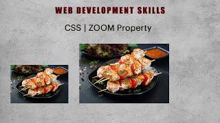 CSS ZOOM Property | Web Development Skills