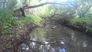 Очистка речки, впервые за 30 лет. Cleaning the riverbed, for the first time in 30 years. р. Кока