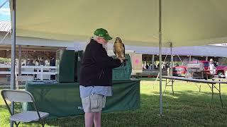 2024 Birds of Prey Take Flight! Wildlife Education by Mike Booth