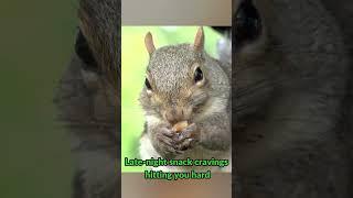 Latenight Cravings | Late Night Cravings Shorts | Trending Memes