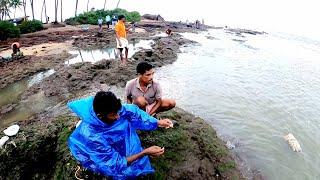 അയലയിൽ ഈ മീനിനെ ഒക്കെ പിടിക്കാൻ പറ്റോvillage Fishing, traditional Fishing, Kerala Fishing, Fishing