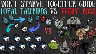 Don't Starve Together Guide: Loyal Tallbirds (Teenbirds) VS "Every" Boss