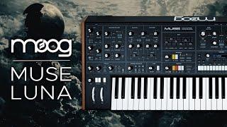 MOOG MUSE Presets for Ambient, Electronica and Melodic Techno ▶ LUNA Sound Pack