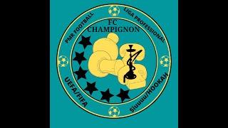 FC CHAMPIGNON|REAL MADRID|MANCHESTER UNITED|ГОЛЫ /ТРАВМА/PMR FOOTBALL|LIGA|UEFA|FIFA|