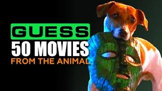 Guess The Movie From The Animal: Are You an Expert on Animals on The Big Screen? / 50 Films Quiz