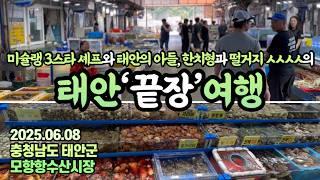 미슐랭3스타쉐프x태안의 아들x한치형xㅅㅅㅅㅅ,지금껏 몰랐던 태안 끝장 미식여행!!!