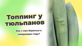 Топпинг листа и стебля | Почему возникает? Как избежать?