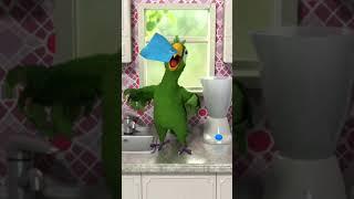 all animations talking pierre the parrot!