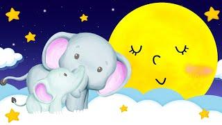 Baby Sleep 5 Minute Challenge - Lullaby Songs To Put A Baby To Sleep Fast -Baby Song Sleep Music