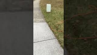 Running sidewalk and sidewalk