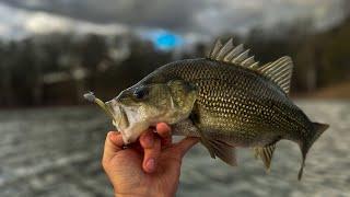 100 BASS caught fishing at Lake St Clair! The season change