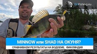 Ловим на разные типы воблеров: Shad и Minnow. Pontoon21 vs Kosadaka