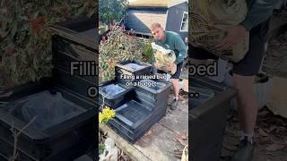 How to fill a raised bed on a budget? Raised bed filling for cheap.