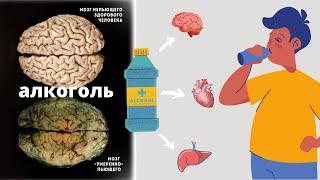 Как АЛКОГОЛЬ влияет на наш МОЗГ и ТЕЛО