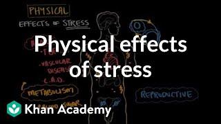 Physical effects of stress | Processing the Environment | MCAT | Khan Academy