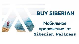 Как установить приложение Buy Siberian и работать в нём