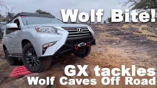 Wolf Bite - Stuck at Wolf Caves Off Road Park in a Lexus GX