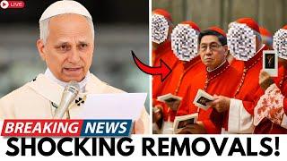 Pope Leo XIV Is Cleaning House — These 6 Cardinals Face REMOVAL