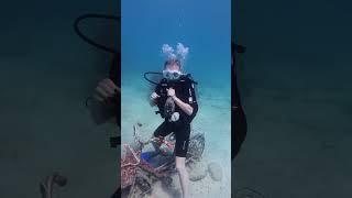 Рыба думает она пиранья  #дайвинг #рыбы #море #karakross #каринакросс