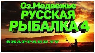 Русская рыбалка 4.Карп на ПВА200 лайков фидер Fortuna FD420(19.5кг)РОЗЫГРЫШ НАЖИВКИ И БЛЕСЕН