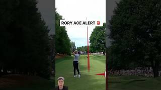 INSANE RORY MCILROY HOLE IN ONE! #golf #golfswing #golfer #rorymcilroy #pga #pgatour #golfislife