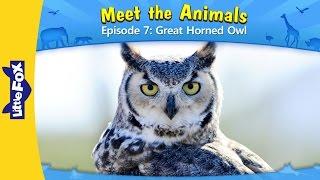 Meet the Animals 7 | Great Horned Owl | Wild Animals | Little Fox | Animated Stories for Kids