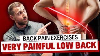 My Favorite Exercises for a Very Painful Lower Back [For Physical Therapists]