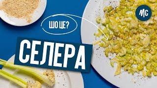 ЩО ЦЕ? СЕЛЕРА |  корисні страви з селери