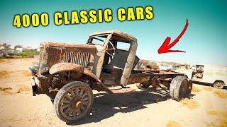 Cool Car Time Capsule - You'll Never Believe The Vehicles Rotting Away In This Yard!