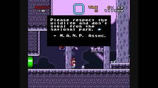 SMW Custom Music - Track 1911 (Last Bible 3 - Underworld Forest﻿)