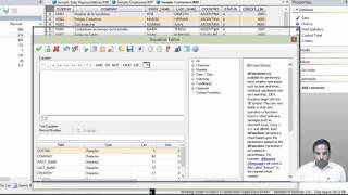 CAAT Chapter-3:Data Analysis using IDEA