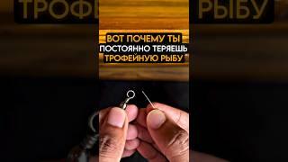 Вот почему ты постоянно теряешь трофейную рыбу #карась #fishing #рыбалка