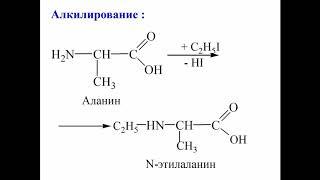 Лекция: Химия - Аминокислоты