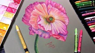 Why don't I use these More?  Using Caran D'Ache Neocolor 2 Watercolor Crayon to Paint a Poppy